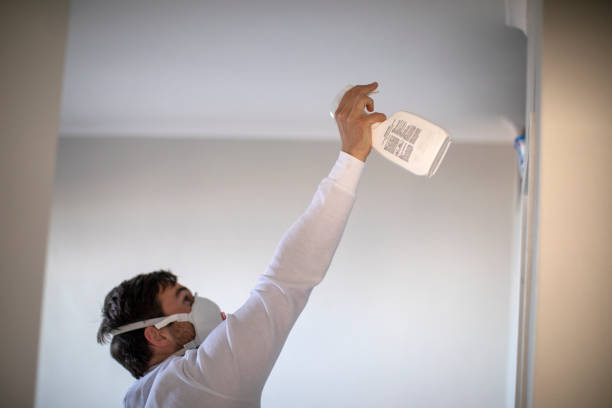 Best Insurance-Related Mold Remediation in Navy Yard City, WA