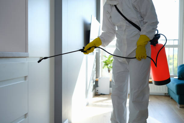 Best Health and Safety Mold Remediation in Navy Yard City, WA