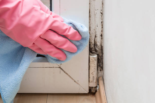 Health and Safety Mold Remediation